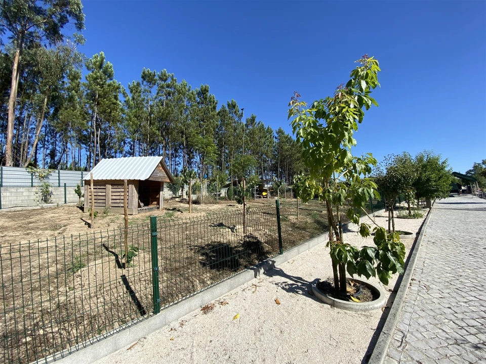 Quinta T3 para Venda em Guia, Ilha e Mata Mourisca Foto 28