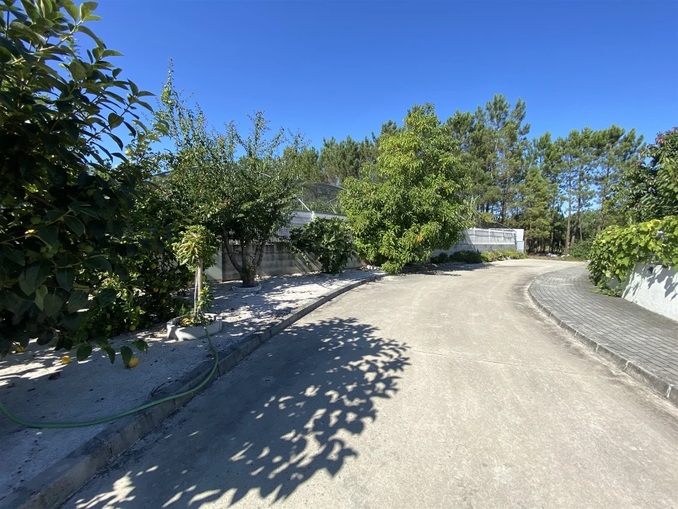 Quinta T3 para Venda em Guia, Ilha e Mata Mourisca Foto 21