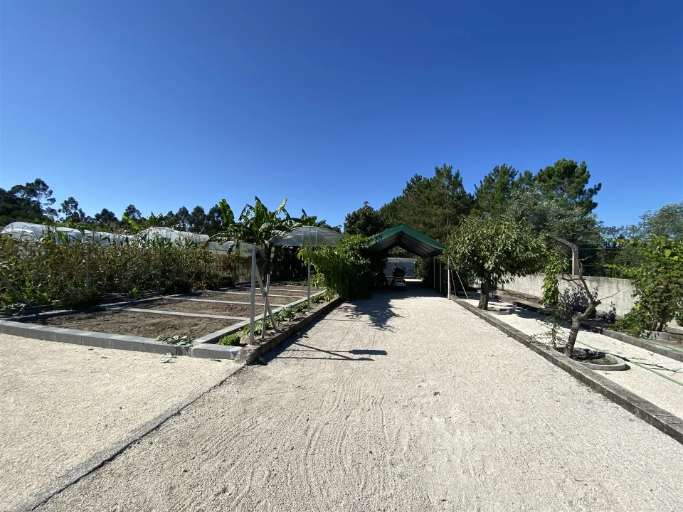 Quinta T3 para Venda em Guia, Ilha e Mata Mourisca Foto 17