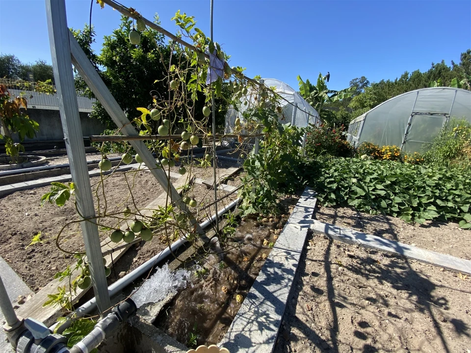 Quinta T3 para Venda em Guia, Ilha e Mata Mourisca Foto 19
