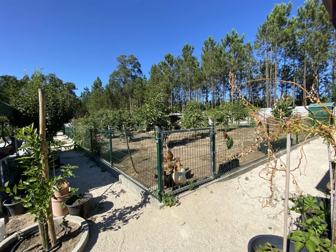 Quinta T3 para Venda em Guia, Ilha e Mata Mourisca Foto 25