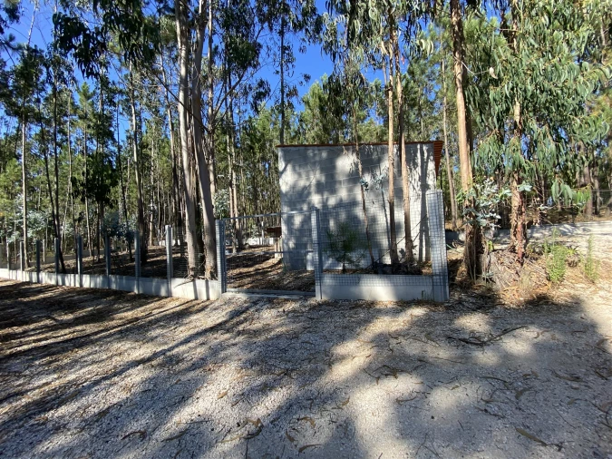 Quinta T3 para Venda em Guia, Ilha e Mata Mourisca Foto 30