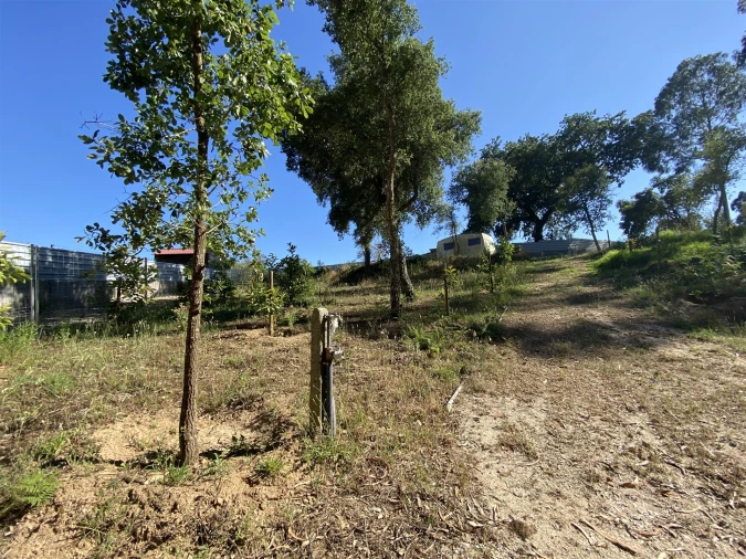 Quinta T3 para Venda em Guia, Ilha e Mata Mourisca Foto 31