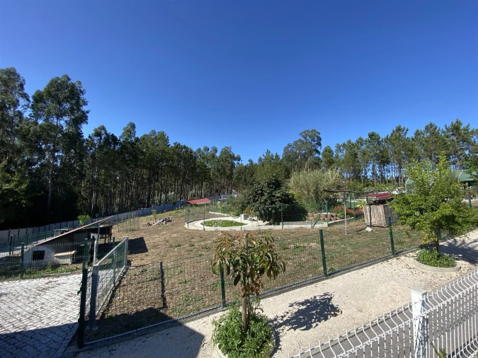 Quinta T3 para Venda em Guia, Ilha e Mata Mourisca Foto 35