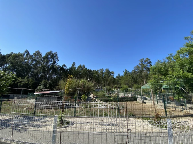 Quinta T3 para Venda em Guia, Ilha e Mata Mourisca Foto 42