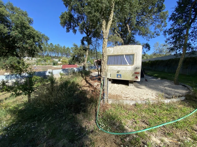 Quinta T3 para Venda em Guia, Ilha e Mata Mourisca Foto 33