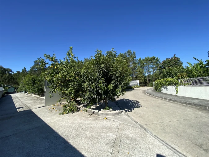 Quinta T3 para Venda em Guia, Ilha e Mata Mourisca Foto 22