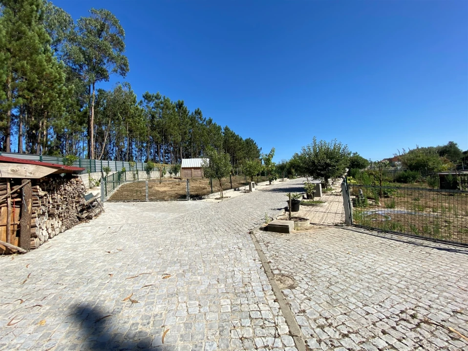 Quinta T3 para Venda em Guia, Ilha e Mata Mourisca Foto 32