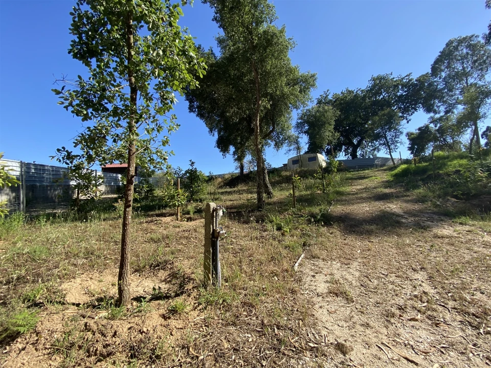 Quinta T3 para Venda em Guia, Ilha e Mata Mourisca Foto 31