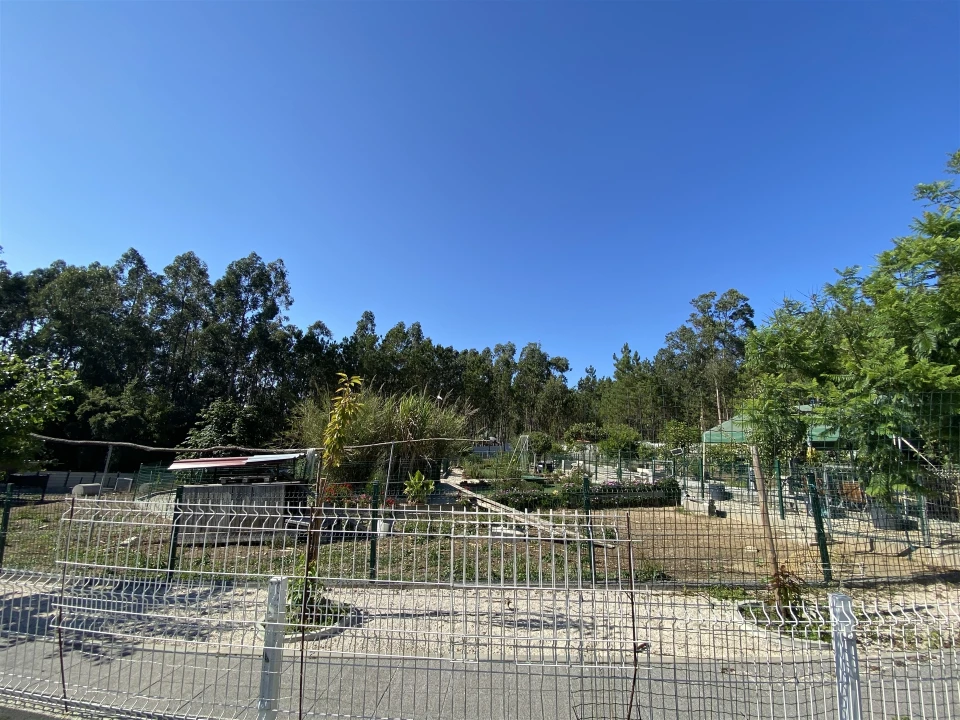 Quinta T3 para Venda em Guia, Ilha e Mata Mourisca Foto 42