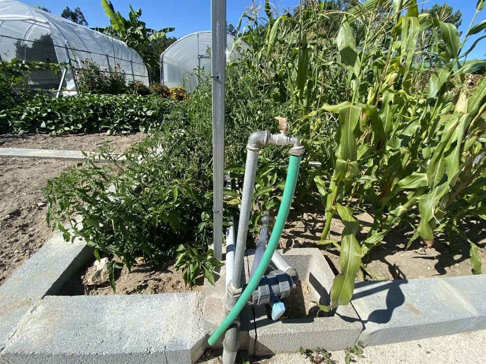 Quinta T3 para Venda em Guia, Ilha e Mata Mourisca Foto 20