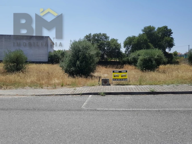 Terreno para Venda em Escalos de Cima e Lousa Foto 5