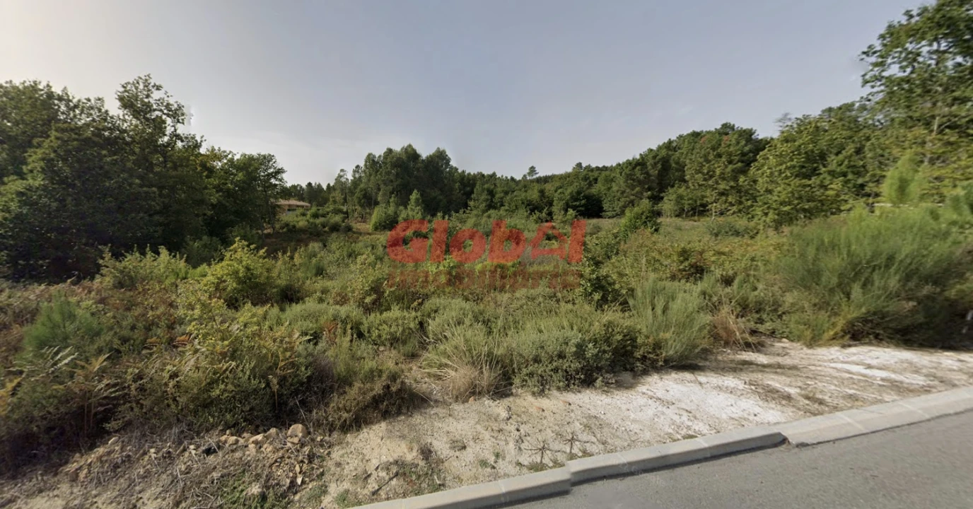 Terreno Agricola ou Rústico para Venda em Queiriga Foto 1