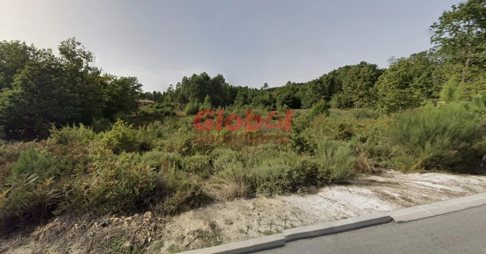 Terreno Agricola ou Rústico para Venda em Queiriga