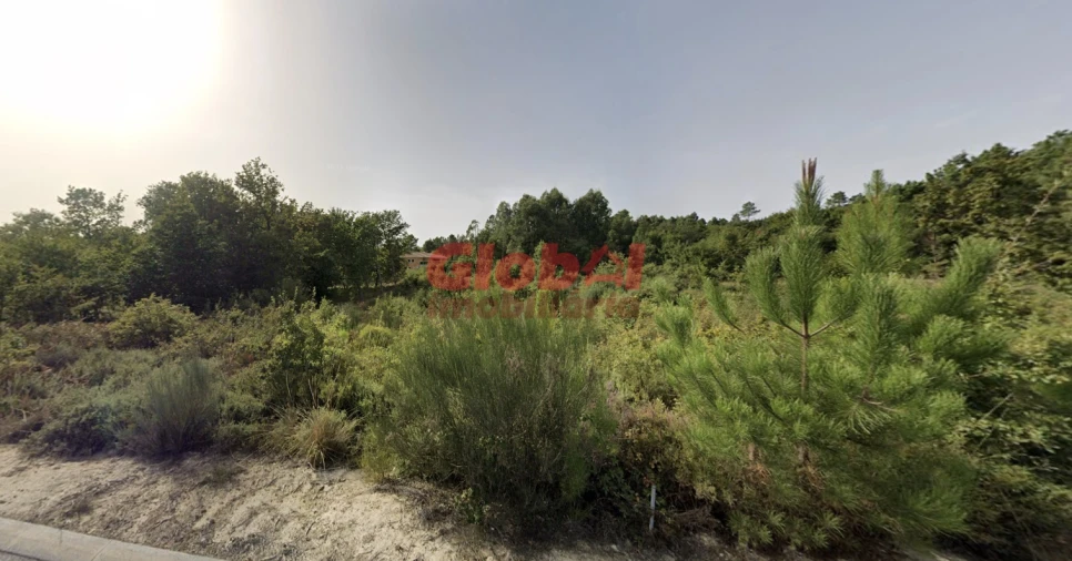 Terreno Agricola ou Rústico para Venda em Queiriga Foto 2