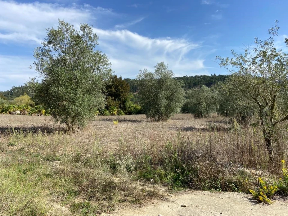 Terreno para Venda em Espite Foto 1