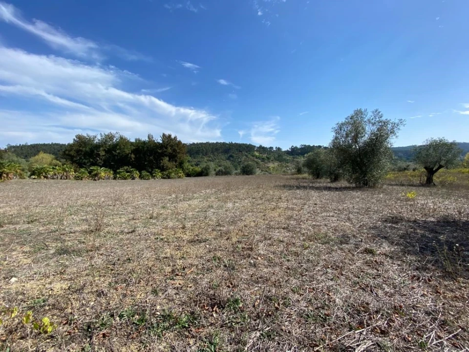 Terreno para Venda em Espite Foto 2