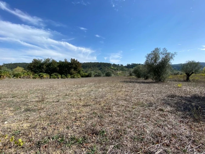 Terreno para Venda em Espite Foto 2