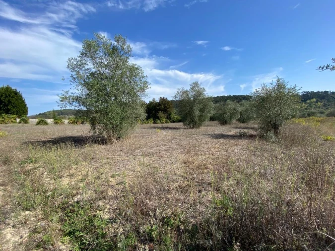 Terreno para Venda em Espite Foto 3