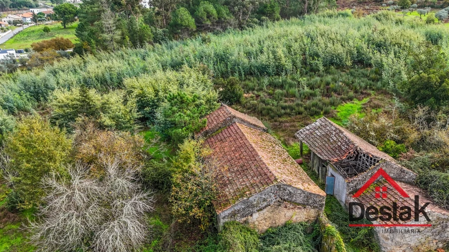 Quinta T4 para Venda em Fornos de Maceira Dão Foto 8
