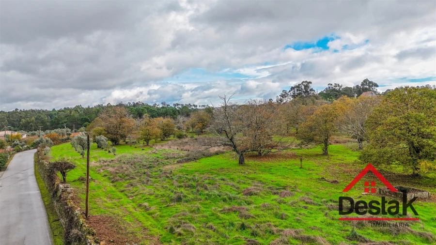 Quinta T4 para Venda em Fornos de Maceira Dão Foto 17