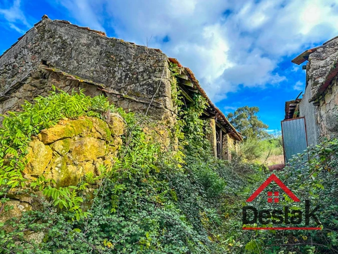 Quinta T4 para Venda em Fornos de Maceira Dão Foto 24