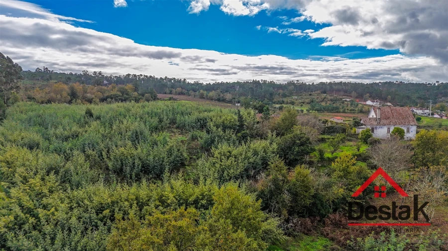 Quinta T4 para Venda em Fornos de Maceira Dão Foto 13