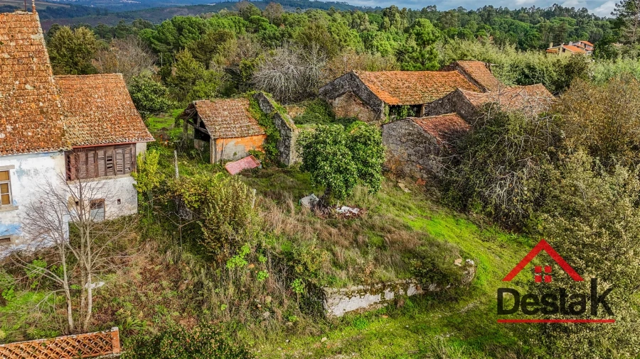 Quinta T4 para Venda em Fornos de Maceira Dão Foto 5