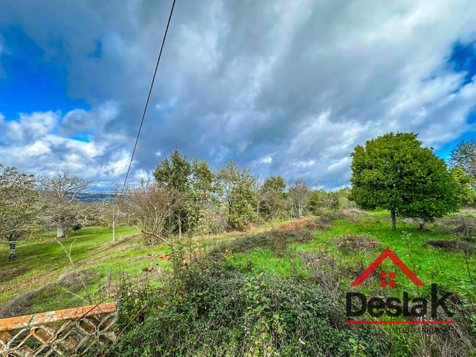 Quinta T4 para Venda em Fornos de Maceira Dão Foto 33