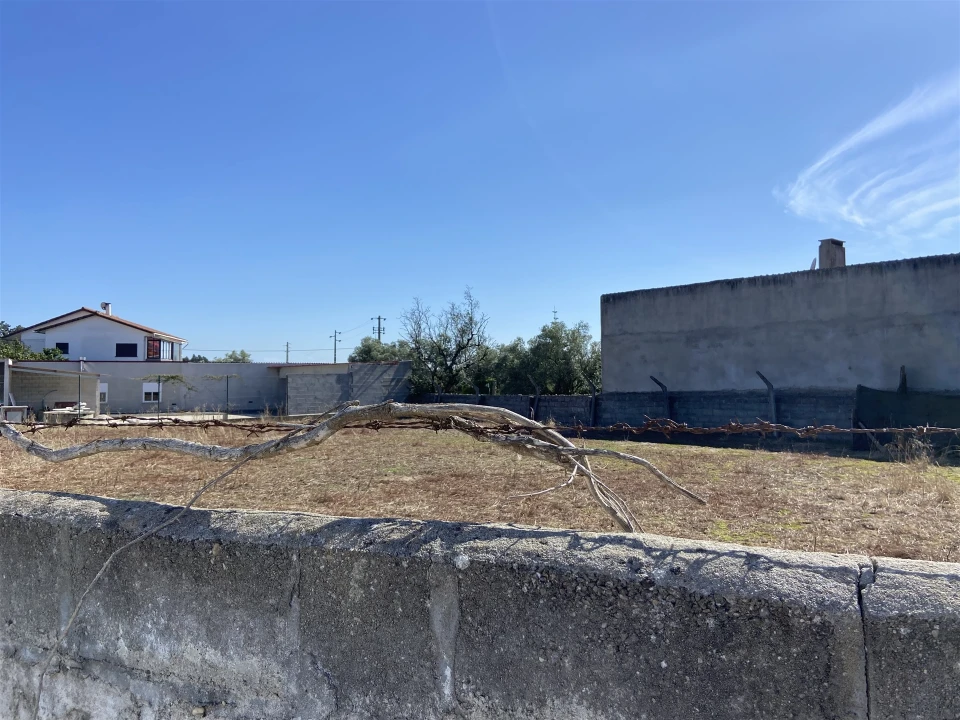 Terreno para Venda em Monte Redondo e Carreira Foto 2