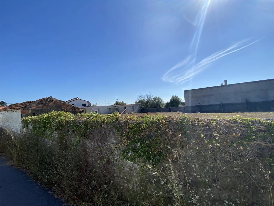 Terreno para Venda em Monte Redondo e Carreira Foto 3