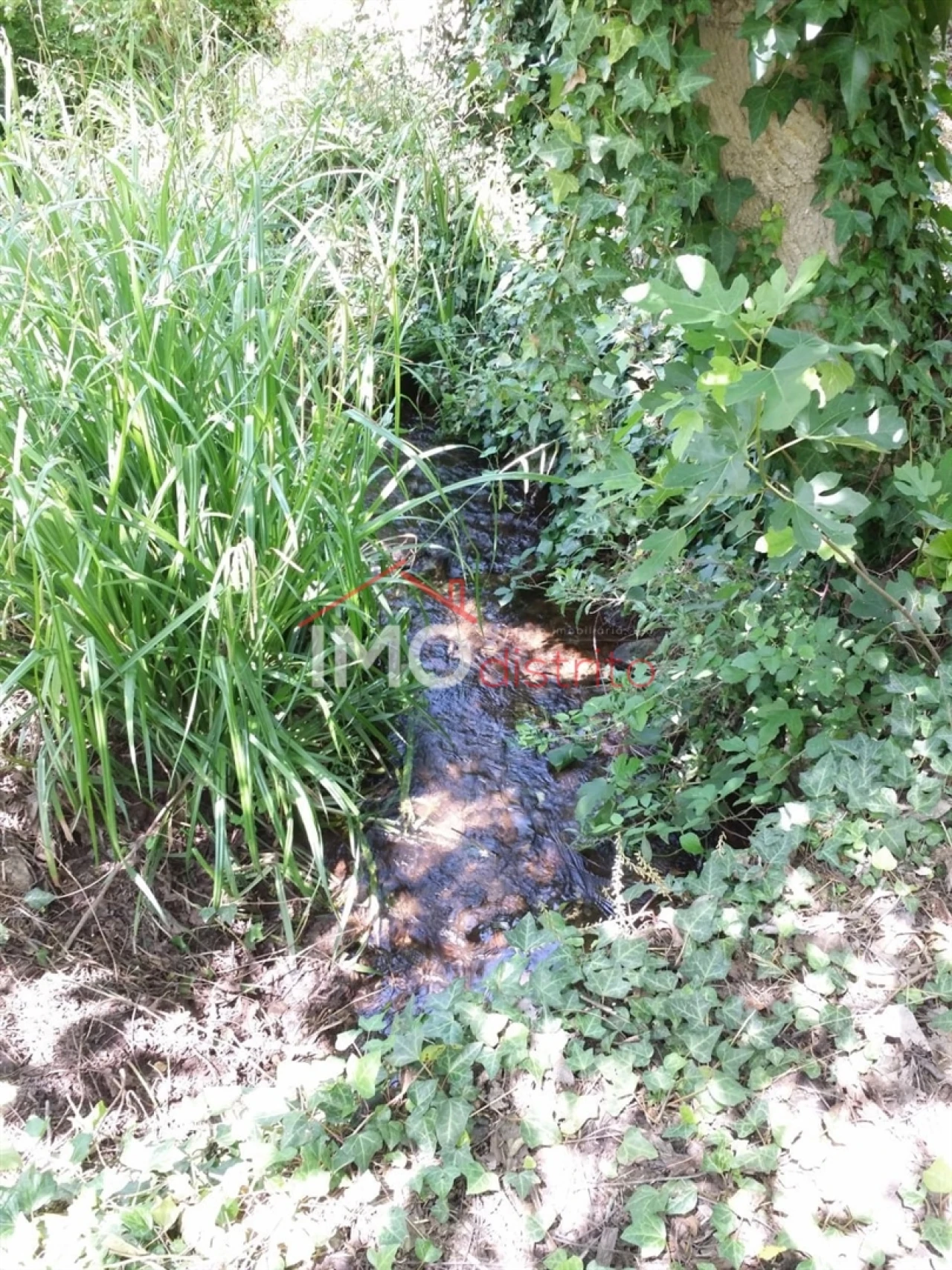 Quinta T3 para Venda em Santa Maria da Devesa Foto 17