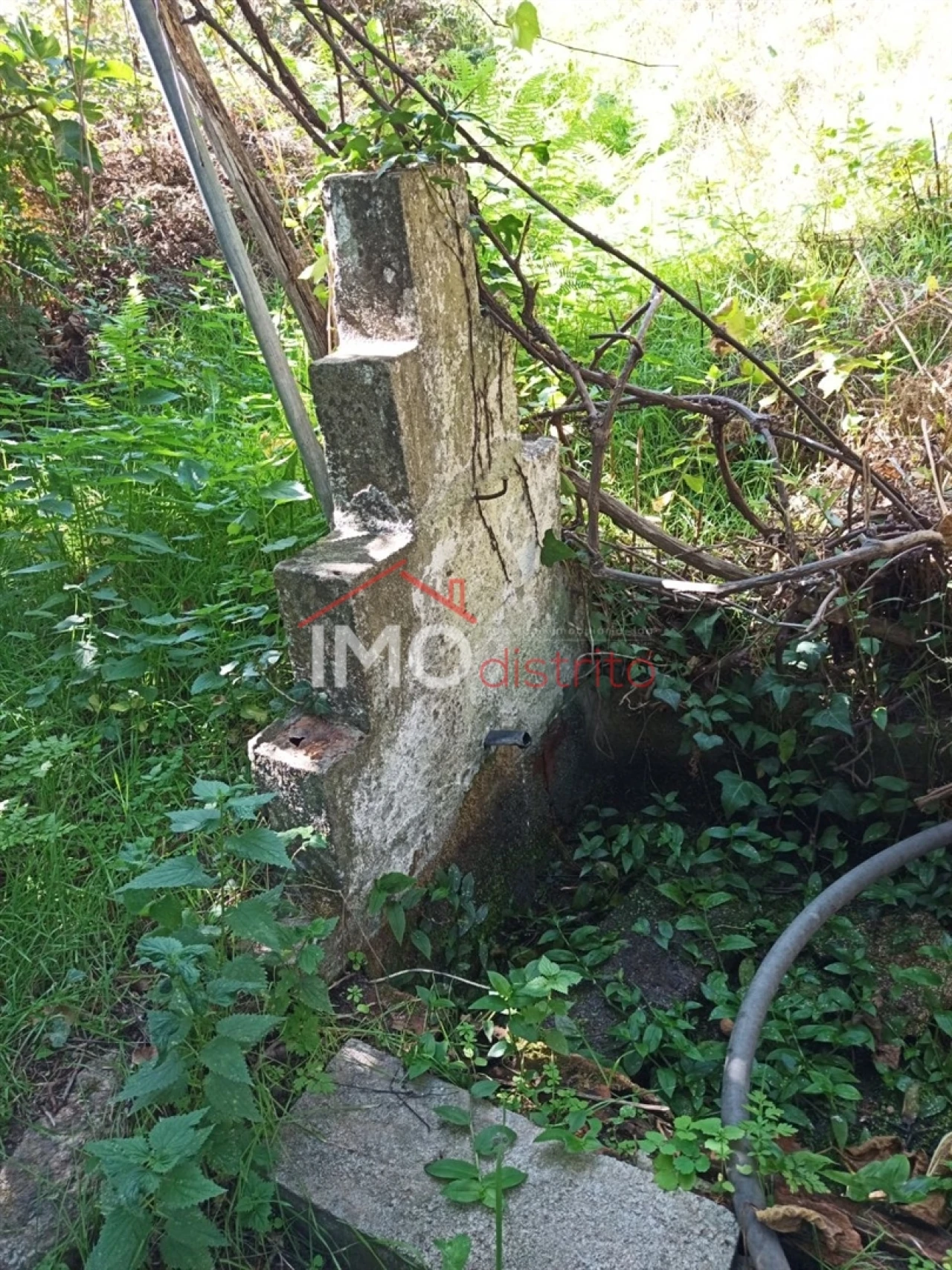 Quinta T3 para Venda em Santa Maria da Devesa Foto 20