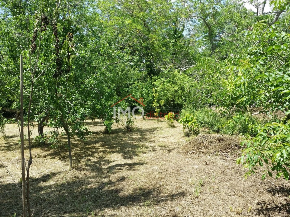 Quinta T3 para Venda em Santa Maria da Devesa Foto 27