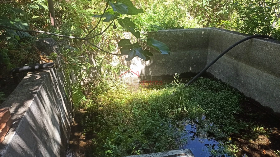 Quinta T3 para Venda em Santa Maria da Devesa Foto 21