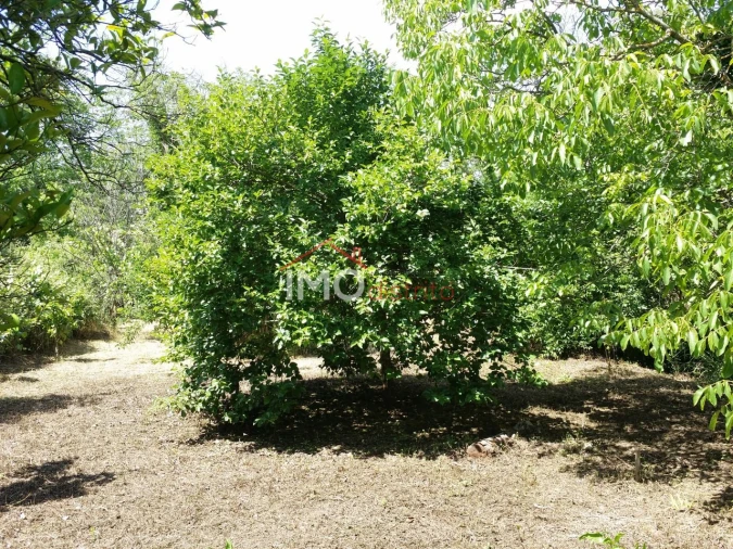 Quinta T3 para Venda em Santa Maria da Devesa Foto 23