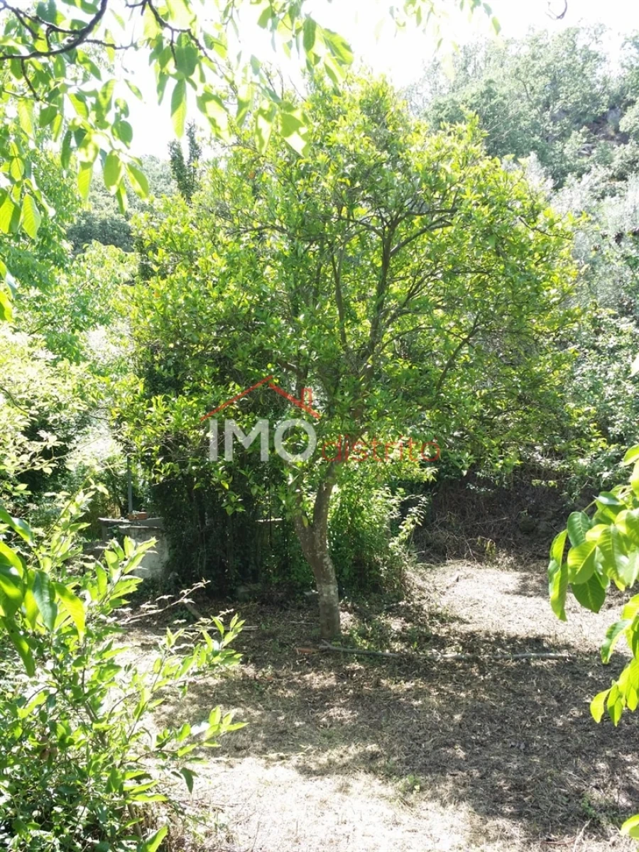 Quinta T3 para Venda em Santa Maria da Devesa Foto 25