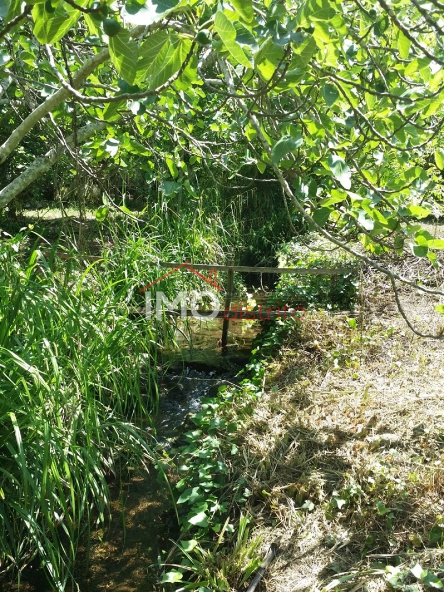 Quinta T3 para Venda em Santa Maria da Devesa Foto 18