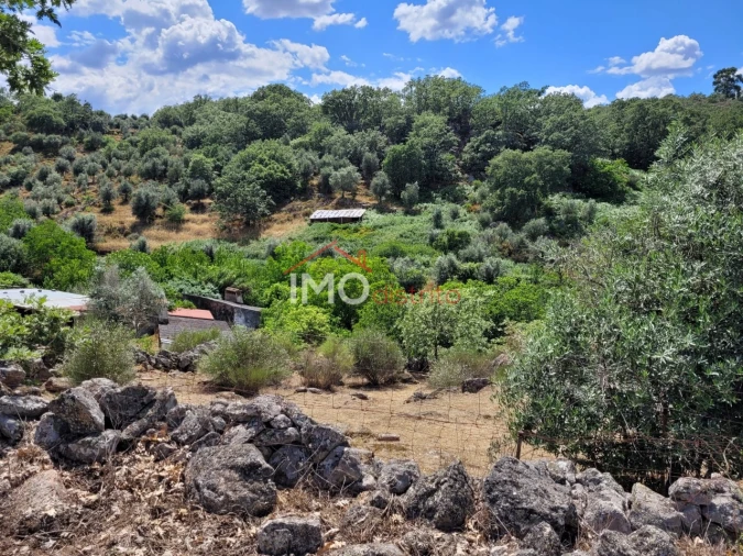 Quinta T3 para Venda em Santa Maria da Devesa Foto 4