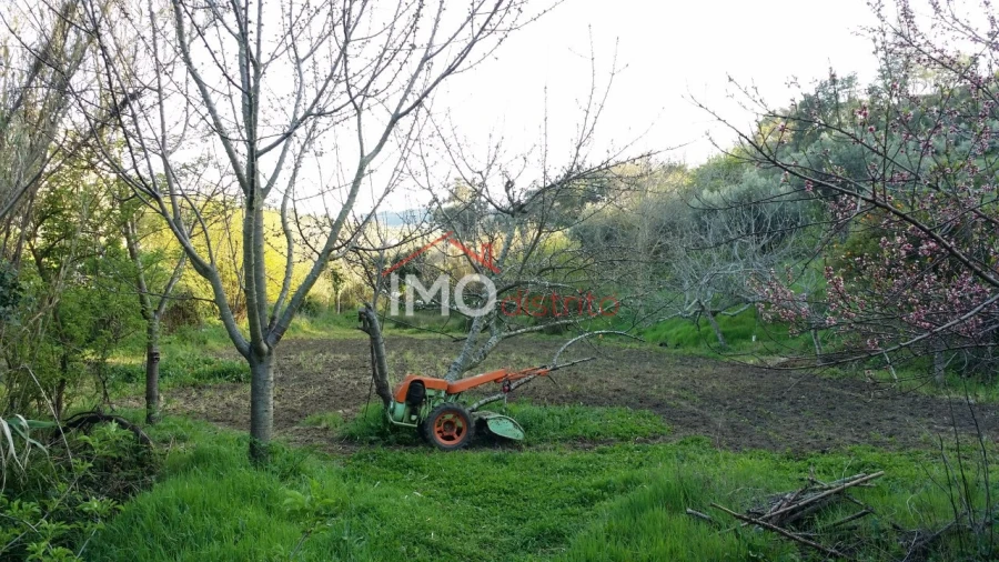 Quinta T3 para Venda em Santa Maria da Devesa Foto 15