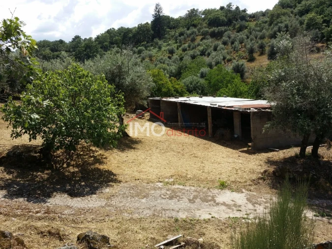 Quinta T3 para Venda em Santa Maria da Devesa Foto 6