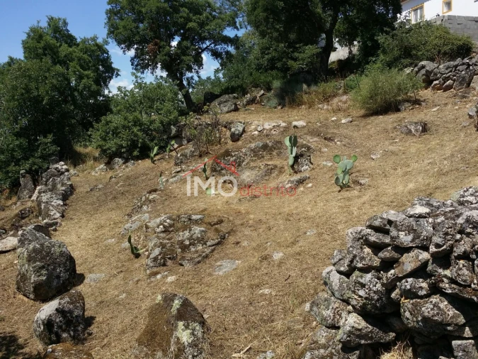 Quinta T3 para Venda em Santa Maria da Devesa Foto 24