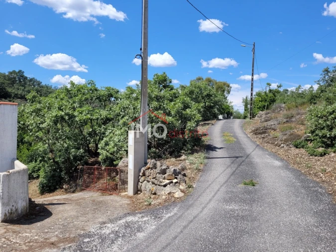Quinta T3 para Venda em Santa Maria da Devesa Foto 3