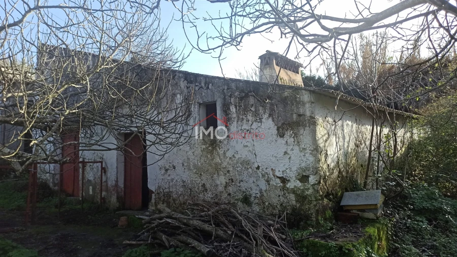 Quinta T3 para Venda em Santa Maria da Devesa Foto 9