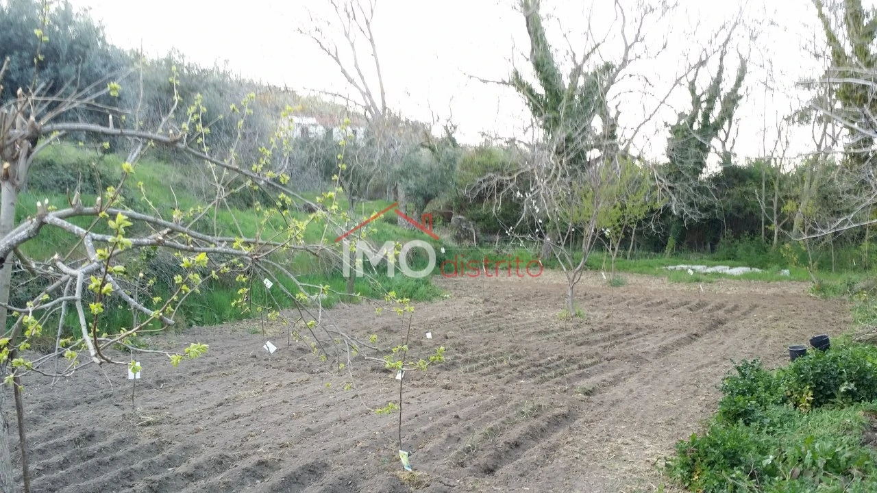 Quinta T3 para Venda em Santa Maria da Devesa Foto 16