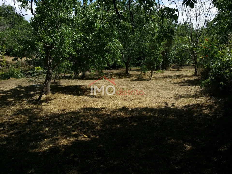 Quinta T3 para Venda em Santa Maria da Devesa Foto 22