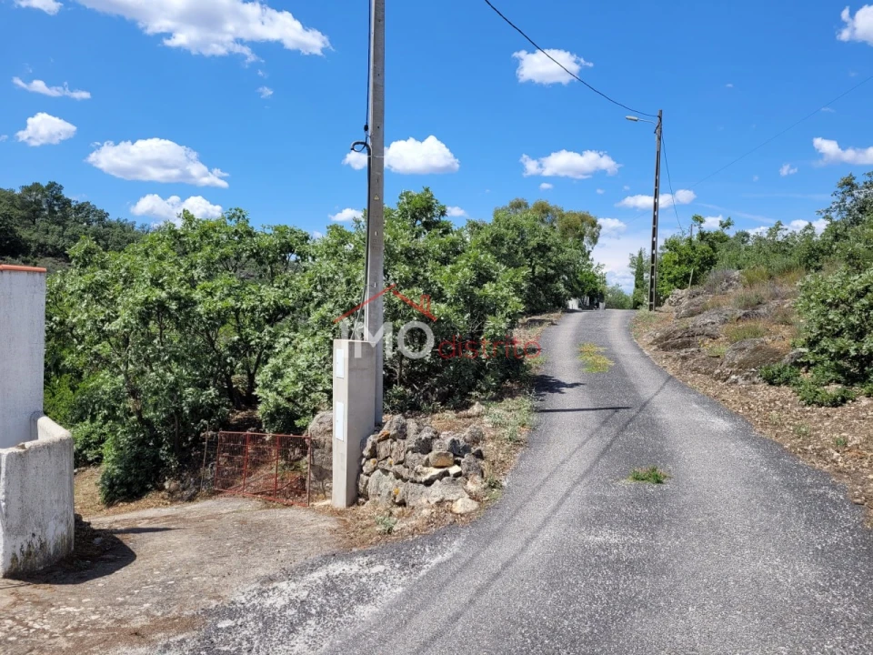 Quinta T3 para Venda em Santa Maria da Devesa Foto 3