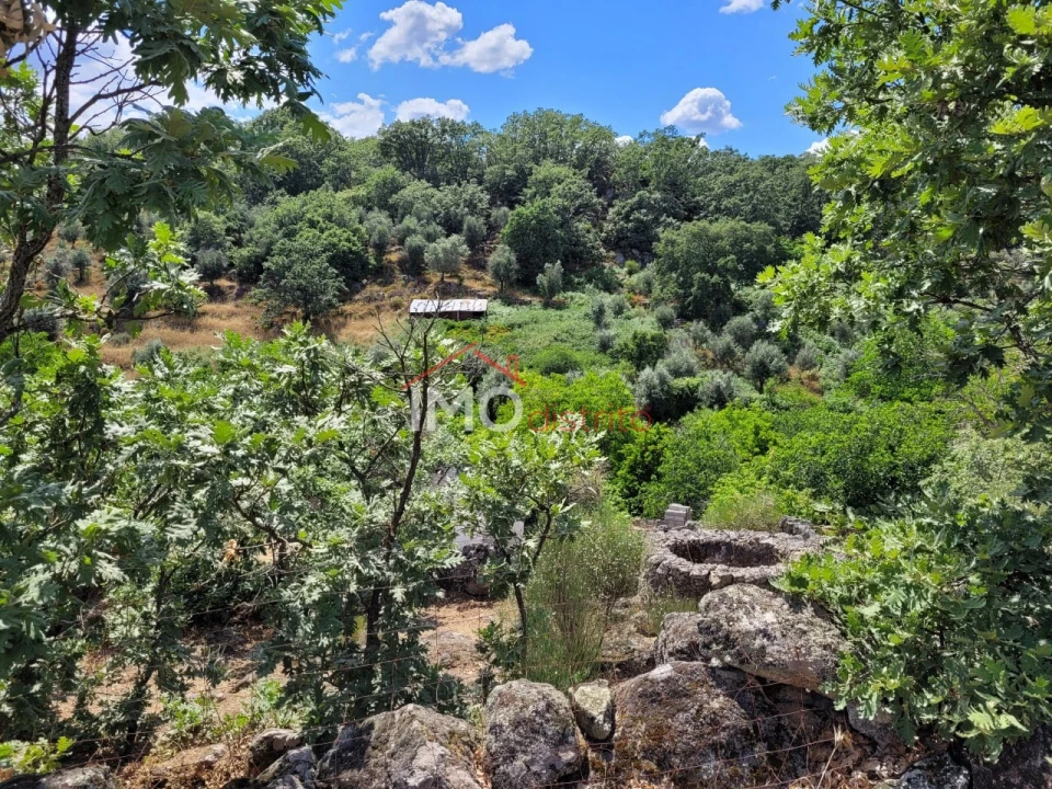 Quinta T3 para Venda em Santa Maria da Devesa Foto 1