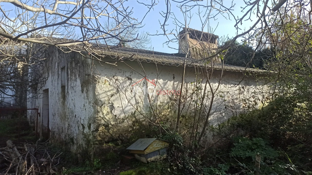 Quinta T3 para Venda em Santa Maria da Devesa Foto 10