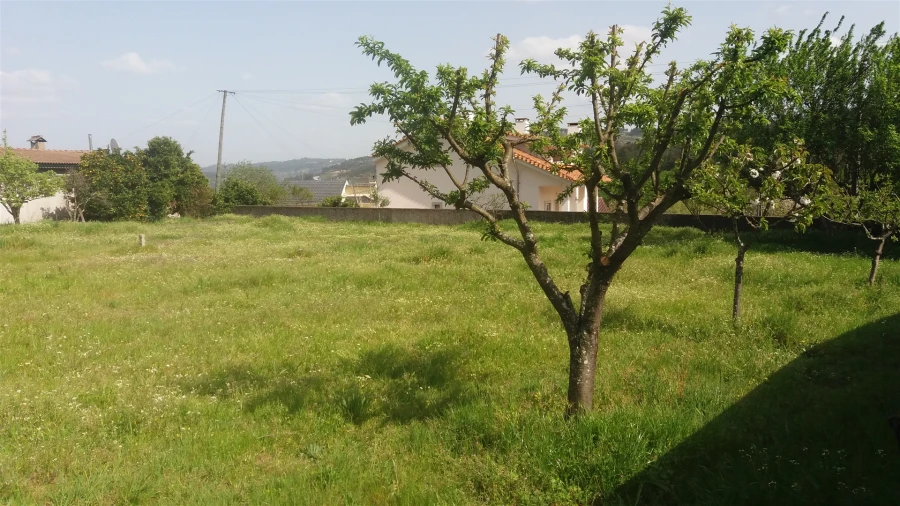 Terreno para Venda em Fragosela Foto 3